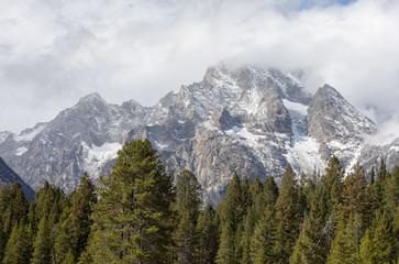 Scenic Landscape in Grand Teton National Park Wyoming in Autumn