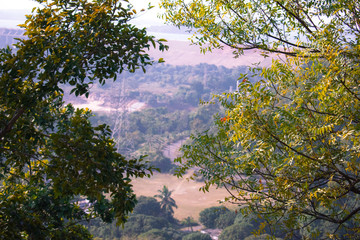 a beautiful image of natural frame created by two different tree