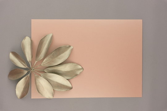 Silver  leaf, pink paper blank in grey background.  Birthday, Mother's Day, Women's Day concept. Top view, copy space, flat lay.