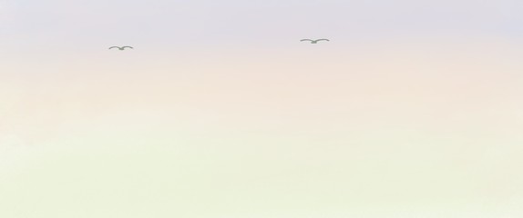 flying birds in the sky Sunrise sky with group of birds illustration 