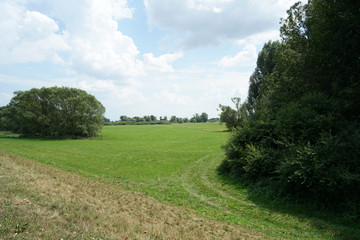 road in the field