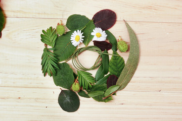letra O hecha de hojas de plantas y flores naturales sobre madera © DondykRiga