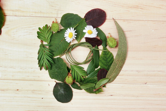letra O hecha de hojas de plantas y flores naturales sobre madera