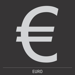 Euro sign icon