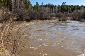 
Stormy river in the spring. Siberian landscape