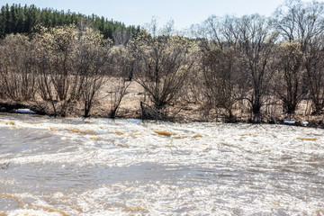
Stormy river in the spring. Siberian landscape