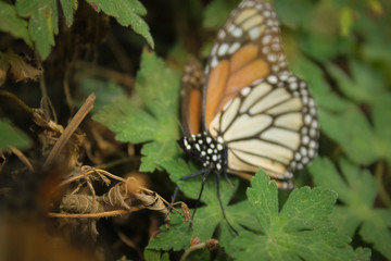 nature and outdoors trip