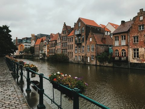 brujas afternoon