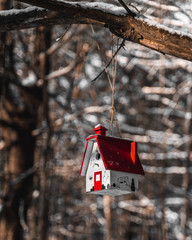 red lantern on the snow