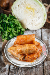 Side view on a dish of eastern european cuisine golubtsy stuffed cabbage leaves with meat, with sour cream and carrot, vertical