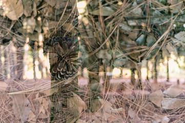 Abstract double exposure of wood patterns
