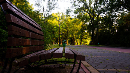 Pusta ławka w parku latem. © Mariusz