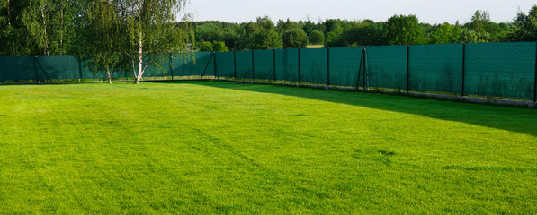 Zielona trawa w ogrodzie ogrodzona . - obrazy, fototapety, plakaty