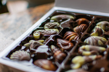 Belgian chocolate box filled with milk and dark chocolate candy shaped as seashells