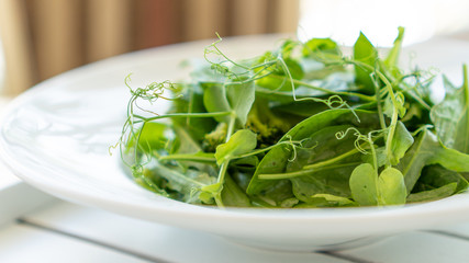 Green salad with arugula and broccoli in a plate with