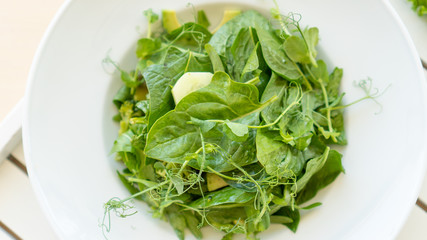 Green salad with arugula and broccoli in a plate with