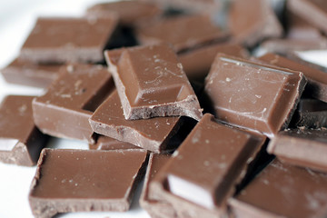 Assortiment et degustation de plaquette de chocolat