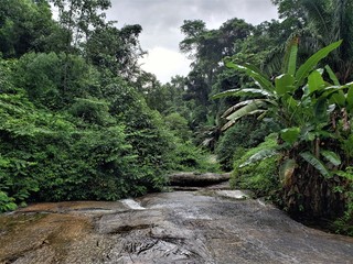 Corredeira e Natureza