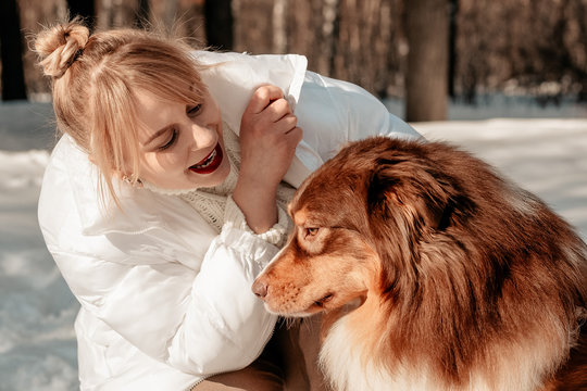 Beautiful woman walks with dog breed Aussie Australian Shepherd. They sit with dog and talk. Girl teaches dog, listens carefully and is little guilty. Is friend of man. Sunny winter day.