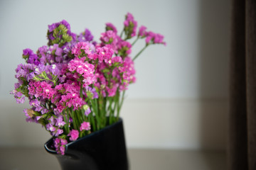 Purple tone flowers