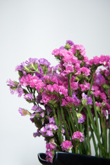 Purple tone flowers