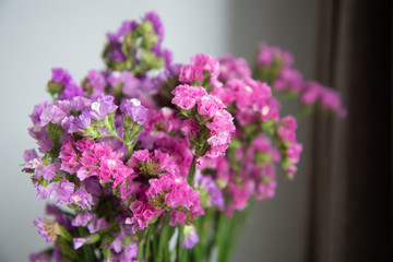 Purple tone flowers
