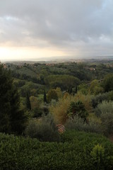 Evergreen landscapes of unbelievable Tuscany
