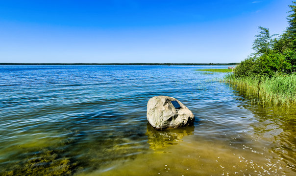 Shore of Lake Fleesensee, part of the Mecklenburg Lake District in the Federal State of Mecklenburg-Western Pomerania in Germany