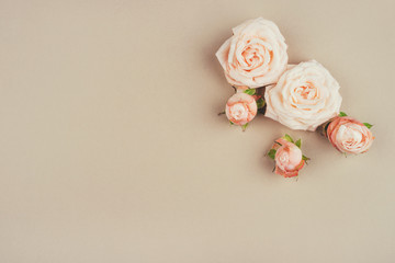Spring background. Rose flowers on a beige background. Flat lay. Copy space for your text.