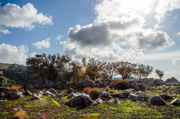 natural reserve of the Aspromonte park in Calabria
