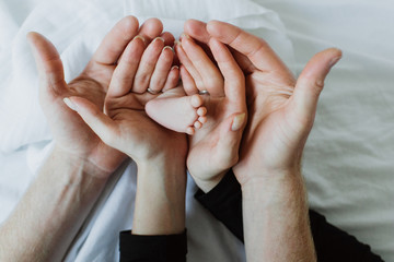 Close-up of the legs of a newborn in the hands of parents.