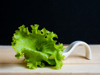 Hoja de lechuga verde