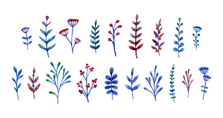 Decorative set of watercolor floral illustration with herbs isolated on white background. Clipping path included. Ideal for printing, fabric, scrap booking, cards, design