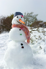 Naklejka premium Snowman in the Mountains