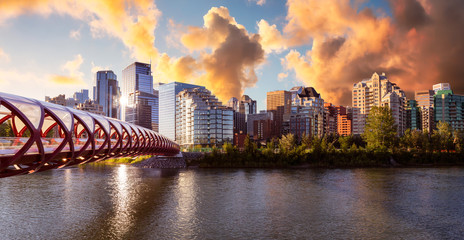 Fototapeta premium Peace Bridge across Bow River with Modern City Buildings in Background during a vibrant summer sunrise. Cloudy Sky Composite. Taken in Calgary, Alberta, Canada.