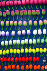 Fototapeta premium Colorful miniature tulips, wooden flower magnets. Typical Dutch souvenirs for tourists in a shop from Amsterdam, Netherlands. Typical Amsterdam symbol. Selective focus. 