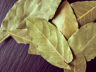 Fresh bay leaves on black background