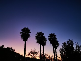 The sunset....