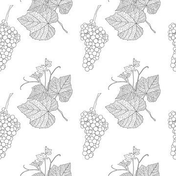 Grape Line Art Vector Isolated Seamless Pattern