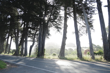 Fototapeta premium morning sun