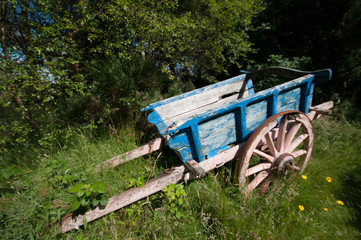 Abandoned horse drawn carriage