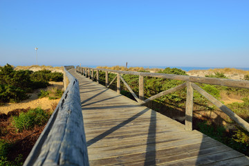 Fototapeta premium Fotografia de una pasarela de madera que lleva a una playa de Cadiz