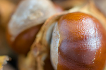 Closeup of chestnuts/conkers