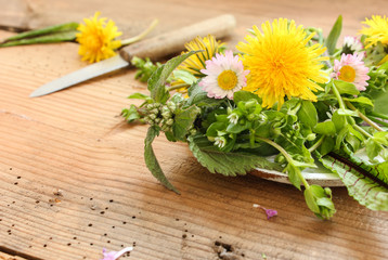 Wildkräuter Salat Wildkräutersalat Wilder Salat Tisch 