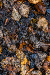 Texture