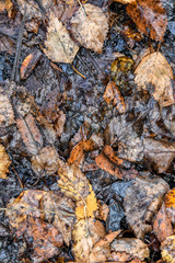 Texture