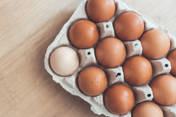 Metaphor for being different or outsider: Brown eggs and one white egg in a basket