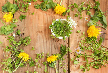 Wildkräutersalat Wildkräuter Salat Vogelmiere Löwenzahn Bärlauch Gänseblümchen