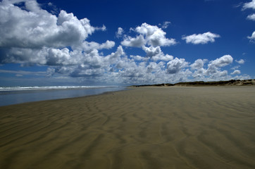 Long wild beach called Ninety Mile Beach, at North Island, New Zealand