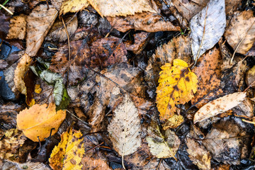 Texture
